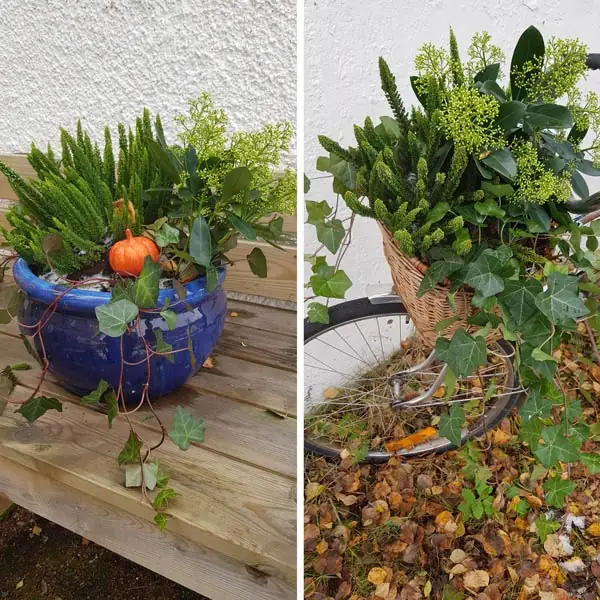 plantering grönaverkstan utekruka eller korg