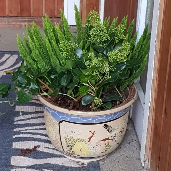 plantering grönaverkstan utekruka eller korg