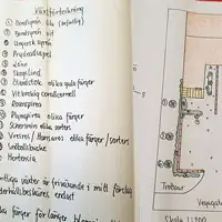 Ideritningar trädgårdsdesign GrönaVerkstan Lena Arwidsson