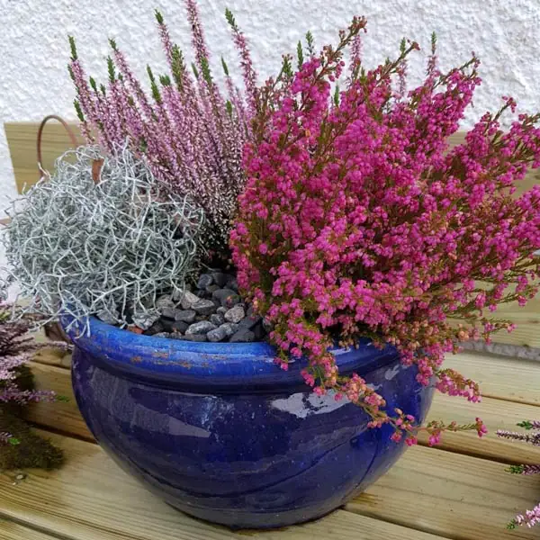 plantering grönaverkstan utekruka eller korg