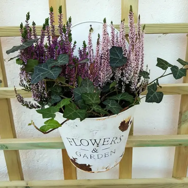 plantering grönaverkstan utekruka eller korg