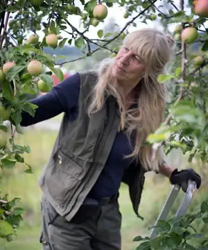 Trädgårdsdesigner Höga Kusten GrönaVerkstan