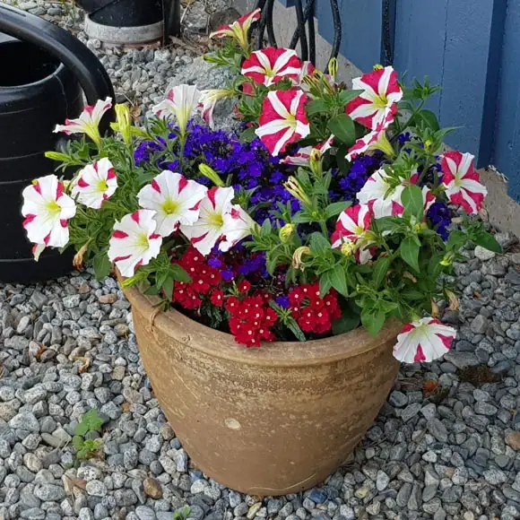 Styling med blomsterarrangemang inför husvisning